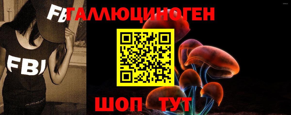 Псилоцибиновые грибы мухоморы Екатеринбург